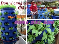 Thùng phuy nhựa nắp nhỏ, thùng phuy 220 lít, thùng phuy nhựa nắp kín Thùng phuy nhựa nắp nhỏ, thùng phuy 220 lít, thùng phuy nhựa nắp kín