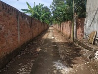 Chỉ 800 triệu/sào, tôi cần bán gấp 7770m2 đất tại xã Bàu Cạn, đất vuôn Chỉ 800 triệu/sào, tôi cần bán gấp 7770m2 đất tại xã Bàu Cạn, đất vuôn