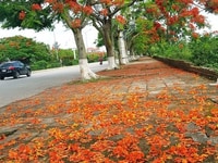 Bán nhà mặt phố Hàng Kênh, Lê Chân, Hải Phòng. DTMB: 101m, ngang 6m Bán nhà mặt phố Hàng Kênh, Lê Chân, Hải Phòng. DTMB: 101m, ngang 6m