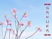 Bán nhiều căn hộ Midtown, Sakura, Phú Mỹ Hưng giá chỉ 4ty750 Bán nhiều căn hộ Midtown, Sakura, Phú Mỹ Hưng giá chỉ 4ty750
