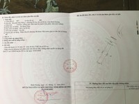 Cho thuê gấp 2 lô đất liền kề gần trường trung tiểu học Việt Anh 2 Cho thuê gấp 2 lô đất liền kề gần trường trung tiểu học Việt Anh 2