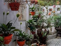 Bán nhà kiệt 86 Lê Ngô Cát, nhà xinh, phù hợp vợ chồng trẻ Bán nhà kiệt 86 Lê Ngô Cát, nhà xinh, phù hợp vợ chồng trẻ