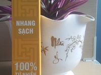 Cung cấp nhang sinh học (nhang sạch) trong và ngoài nước. Cung cấp nhang sinh học (nhang sạch) trong và ngoài nước.