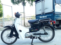Bán xe Cub 81 Nhật 50c biển Hà Nội 29 kim vàng giọt lệ Bán xe Cub 81 Nhật 50c biển Hà Nội 29 kim vàng giọt lệ