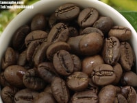 Cafe hạt tại Cần Thơ, cung cấp giá sỉ, giá bán buôn số lượng lớn Cafe hạt tại Cần Thơ, cung cấp giá sỉ, giá bán buôn số lượng lớn
