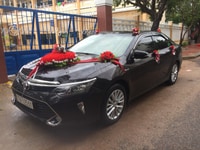 🌈🌈🌈 DV Thuê Xe Tự Lái MINH HẠNH QUI NHƠN 🌈🌈🌈 DV Thuê Xe Tự Lái MINH HẠNH QUI NHƠN