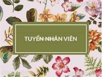 Tuyển nhân viên thời vụ hoặc chính thức Tuyển nhân viên thời vụ hoặc chính thức