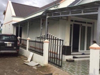 Cho thuê nhà nguyên căn Cây Thông Trong Phú Quốc Cho thuê nhà nguyên căn Cây Thông Trong Phú Quốc