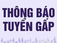 Cần tuyển gấp nhân viên bán hàng trong siêu thị mini Cần tuyển gấp nhân viên bán hàng trong siêu thị mini