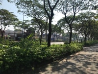 Bán nhà MT Trần Văn giàu Bình Chánh DT 1072 M2 giá 22 tỷ Bán nhà MT Trần Văn giàu Bình Chánh DT 1072 M2 giá 22 tỷ