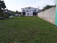 Bán đất xây xưởng, xây kho H Đức Hòa, 1520 m2 thổ cư 80%. Bán đất xây xưởng, xây kho H Đức Hòa, 1520 m2 thổ cư 80%.
