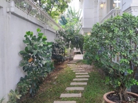 Bán căn villa 3 mặt tiền đường 65 thảo điền dt 860m2 giá 141,5 tỷ Bán căn villa 3 mặt tiền đường 65 thảo điền dt 860m2 giá 141,5 tỷ