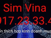 Cần bán sim vina tam hoa giữa - tiến lên Cần bán sim vina tam hoa giữa - tiến lên