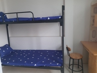 Cho thuê phòng trọ homestay quận Thanh Xuân Cho thuê phòng trọ homestay quận Thanh Xuân