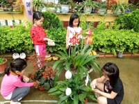 Cần đồng hương bình thuận làm được ở sài gòn Cần đồng hương bình thuận làm được ở sài gòn