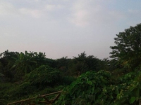 Bán Đất 1.421m Ngọc Thụy – Long Biên, Mặt Tiền: 30m, Giá Chỉ 8 Tỷ Bán Đất 1.421m Ngọc Thụy – Long Biên, Mặt Tiền: 30m, Giá Chỉ 8 Tỷ