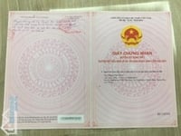 Chính chủ bán gấp đất Thôn Dân Trí Xã Thuận Hòa, Huyện Hàm Thuận Bắc Chính chủ bán gấp đất Thôn Dân Trí Xã Thuận Hòa, Huyện Hàm Thuận Bắc