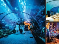 10 lý do khách hàng nhất định sở hữu căn hộ Hội An Goden Sea 10 lý do khách hàng nhất định sở hữu căn hộ Hội An Goden Sea
