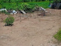 Bán đất thổ cư giá rẻ tai Tp tân An Bán đất thổ cư giá rẻ tai Tp tân An