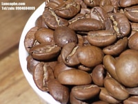 Cà phê nguyên chất tại Bến Tre cung cấp giá sỉ số lượng giao nhanh 24h Cà phê nguyên chất tại Bến Tre cung cấp giá sỉ số lượng giao nhanh 24h