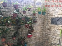 House forrent in dis2 : Quốc Hương Thảo Điền House forrent in dis2 : Quốc Hương Thảo Điền