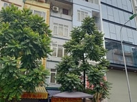 Cần bán nhà Hai Bà Trưng diện tích 58.5x 6 mặt tiền 5.1 giá 9.tỷ. Cần bán nhà Hai Bà Trưng diện tích 58.5x 6 mặt tiền 5.1 giá 9.tỷ.