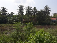Bán nhanh lô đất đường ô tô 1220m2 thổ cư tại Hòa Phong Bán nhanh lô đất đường ô tô 1220m2 thổ cư tại Hòa Phong