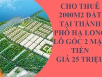Cần cho thuê 2000m2 đất tại TP Hạ Long, lô góc, giá 25 triệu Cần cho thuê 2000m2 đất tại TP Hạ Long, lô góc, giá 25 triệu