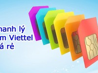 Thanh lý Sim Ông địa giá chỉ từ 20 triệu Thanh lý Sim Ông địa giá chỉ từ 20 triệu