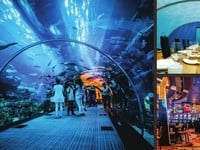 Dự án hội an golden sea : ' mở ra thiên đường nghỉ dưỡng đẳng cấp Dự án hội an golden sea : ' mở ra thiên đường nghỉ dưỡng đẳng cấp
