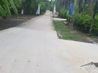 Tôi cần bán 8 công đất sông Ba Lai, đường xe 4m gần Chợ, xã Tam Phước Tôi cần bán 8 công đất sông Ba Lai, đường xe 4m gần Chợ, xã Tam Phước