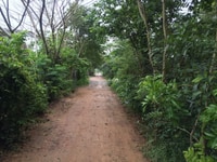 bán đất trồng cây lâu năm, xã xuân thới thượng, hóc môn bán đất trồng cây lâu năm, xã xuân thới thượng, hóc môn
