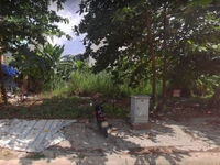 Đừng vội bỏ qua 1 trong 3 lô, Đất MT Lương Văn Nho, Cần giờ sổ riêng Đừng vội bỏ qua 1 trong 3 lô, Đất MT Lương Văn Nho, Cần giờ sổ riêng