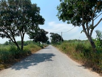 Bán đất MT Dương Văn Hạnh, Lý Nhơn, Cần Giờ: 1695m2, giá: 2,2 tỷ Bán đất MT Dương Văn Hạnh, Lý Nhơn, Cần Giờ: 1695m2, giá: 2,2 tỷ