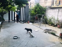 Bán gấp Nhà TP Huế - Đặng Huy Trứ giá ra đi nhanh Bán gấp Nhà TP Huế - Đặng Huy Trứ giá ra đi nhanh
