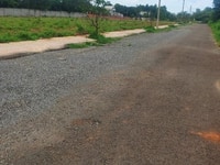 Cần ra đi lô đất phường Phước Hòa Cần ra đi lô đất phường Phước Hòa