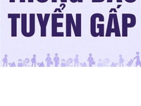 Tuyển nhân viên kinh doanh cho công ty đá quý khu vực Hà Nội