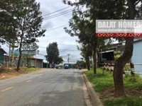 Đất mặt tiền đường Mai Anh Đào 448m², gần Cổng Thung Lũng Tình Yêu Đất mặt tiền đường Mai Anh Đào 448m², gần Cổng Thung Lũng Tình Yêu