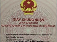 Chính Chủ Cần Bán Đất MT Đường Hồ Bé khu phố 12 Phường 6,TP Mỹ Tho Chính Chủ Cần Bán Đất MT Đường Hồ Bé khu phố 12 Phường 6,TP Mỹ Tho