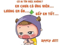 Tuyển Dụng Nhân Viên Văn Phòng Tại Thủ Đức , HCM Tuyển Dụng Nhân Viên Văn Phòng Tại Thủ Đức , HCM