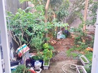 Bán nhà hẻm xe tải phường Phú Mỹ, Q.7, giá bán 4.6 tỷ Bán nhà hẻm xe tải phường Phú Mỹ, Q.7, giá bán 4.6 tỷ