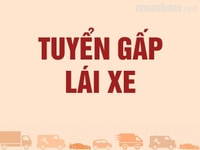 Cần tuyển 2 tài xế giao gas, bằng B2, bằng C Cần tuyển 2 tài xế giao gas, bằng B2, bằng C