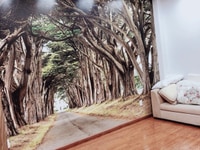 Phòng mới 100% full nội thất Quang Trung, P8 Gò Vấp Phòng mới 100% full nội thất Quang Trung, P8 Gò Vấp