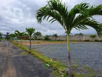 Đất thổ cư ven biển Hồ Tràm - Bà Rịa Vũng Tàu Đất thổ cư ven biển Hồ Tràm - Bà Rịa Vũng Tàu