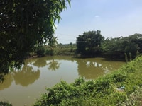 Cần bán 10 thửa đất sổ riêng xã Hàm Liêm chỉ 750tr/1000m2. Cần bán 10 thửa đất sổ riêng xã Hàm Liêm chỉ 750tr/1000m2.