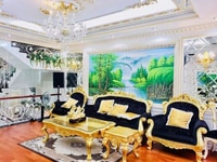 Biệt thự Mặt Tiền 3 tầng D1 đẹp lộng lẫy Bình Thạnh 7x17m Giá 24 tỷ Biệt thự Mặt Tiền 3 tầng D1 đẹp lộng lẫy Bình Thạnh 7x17m Giá 24 tỷ