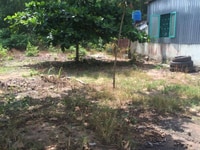 Tôi cần bán lô đất CLN xã Phú Đông giá 930tr/1000m sổ hồng riêng, Tôi cần bán lô đất CLN xã Phú Đông giá 930tr/1000m sổ hồng riêng,