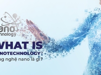 Tìm nhà phân phối dung dịch vệ sinh phụ nữ mana eva Tìm nhà phân phối dung dịch vệ sinh phụ nữ mana eva