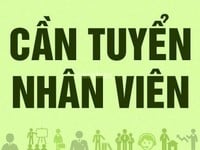 Tuyển nhân viên tại Cầu Giấy, lương 7 triệu Tuyển nhân viên tại Cầu Giấy, lương 7 triệu