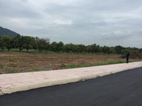 Bán đất siêu đẹp vị trí đường 81 , 144m2 thổ cư , giá 510 triệu Bán đất siêu đẹp vị trí đường 81 , 144m2 thổ cư , giá 510 triệu